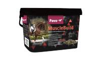 Pavo MuscleBuild